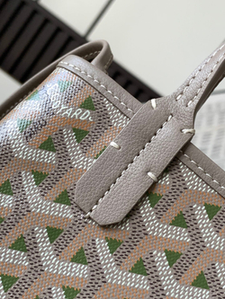 Goyard Poitiers Claire-Voie Bag