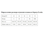 Мужские плавки-шорты (Размер: L) (Цвет: черный)