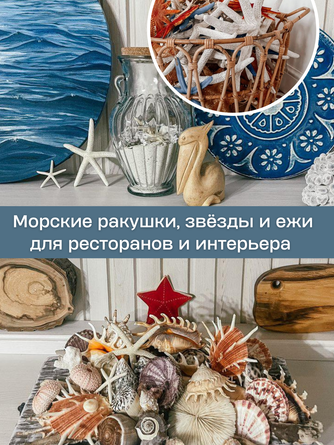 Морские ракушки, звёзды и ежи для ресторанов и интерьера