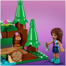 Конструктор LEGO Friends 41677 Лесной водопад