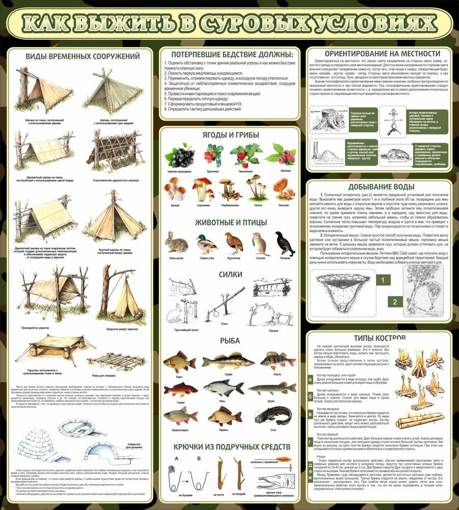Стенд &quot;Как выжить в суровых условиях&quot;