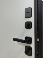 Дверь входная Цефей