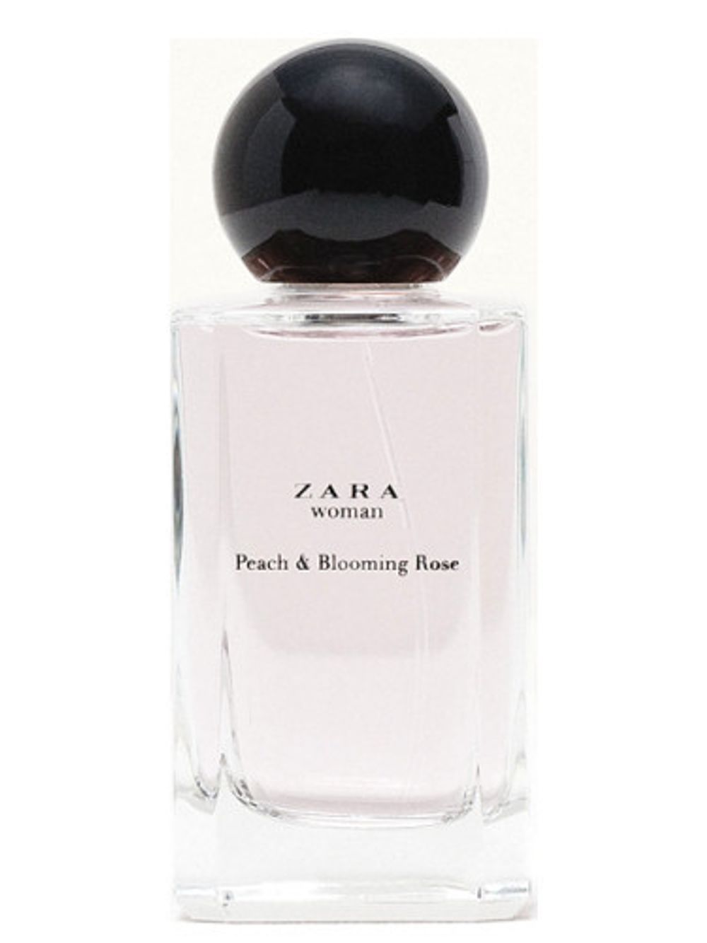 Zara Woman Peach and Blooming Rose