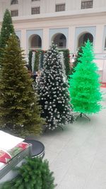 Искусственная елка «Фэнтези салатовая» (Литая хвоя) от 1,5 м до 3 м