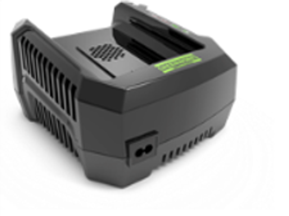 Зарядное устройство Greenworks Арт. 2914707, 82V, 4А