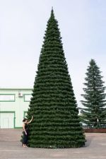 елка каркасная "Испанская"