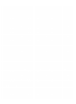 Amulets. Illustrated by the Egyptian collection in University College, London | W. M. Flinders Petrie