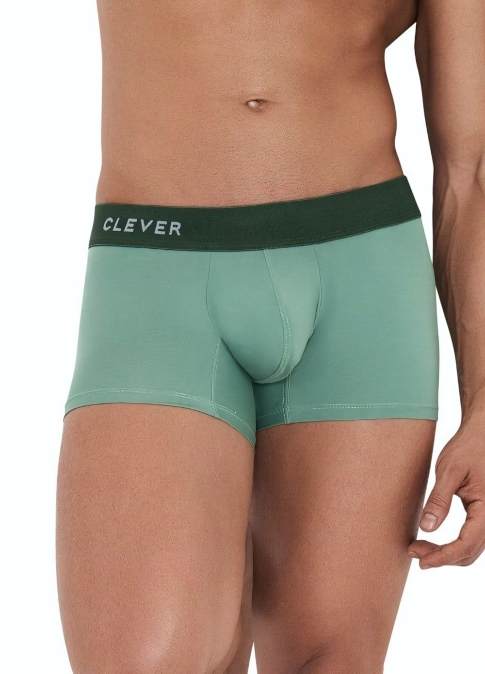 Зеленые мужские трусы-боксеры Grace Boxer (Размер: L) (Цвет: зеленый)