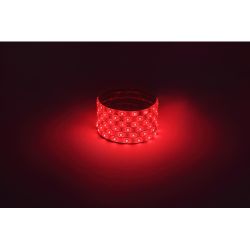 Светодиодная лента ЭРА LS2835-4,8-60-12-R-IP65-1 year-5m красный 1 год | Светодиодные ленты 12В 1 год