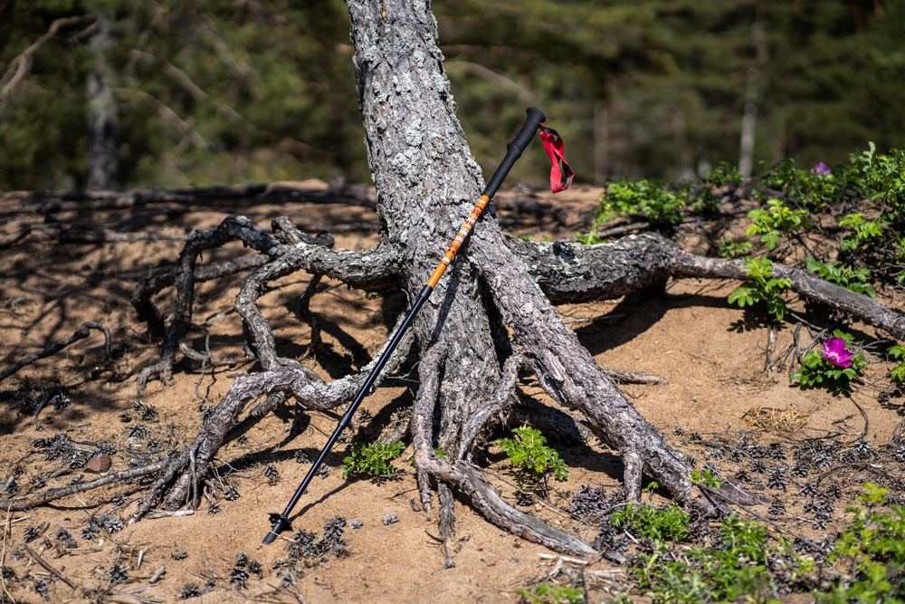 ПАЛКИ ТРЕККИНГОВЫЕ TALBERG RANGER POLE