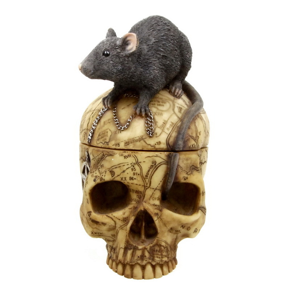 Шкатулка Крыса на черепе 16 см