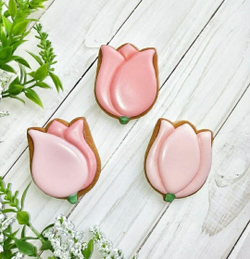 Тюльпан №8 бутон