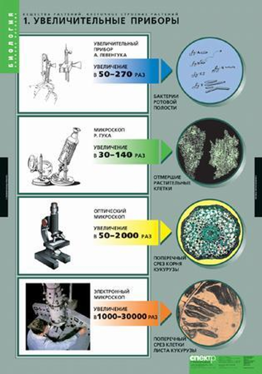 Комплект таблиц "Вещества растений. Клеточное строение" (12табл.)