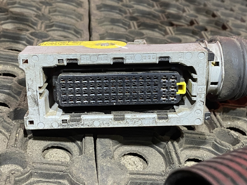 Проводка двигателя MX13 2019 год.