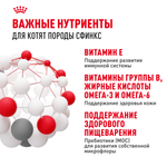 Royal Canin Sphynx Kitten Киттен Сфинкс Корм сухой для котят породы Сфинкс в возрасте от 4 до 12 месяцев 400г