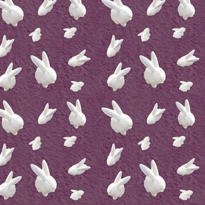 Зайка глянец ежевика