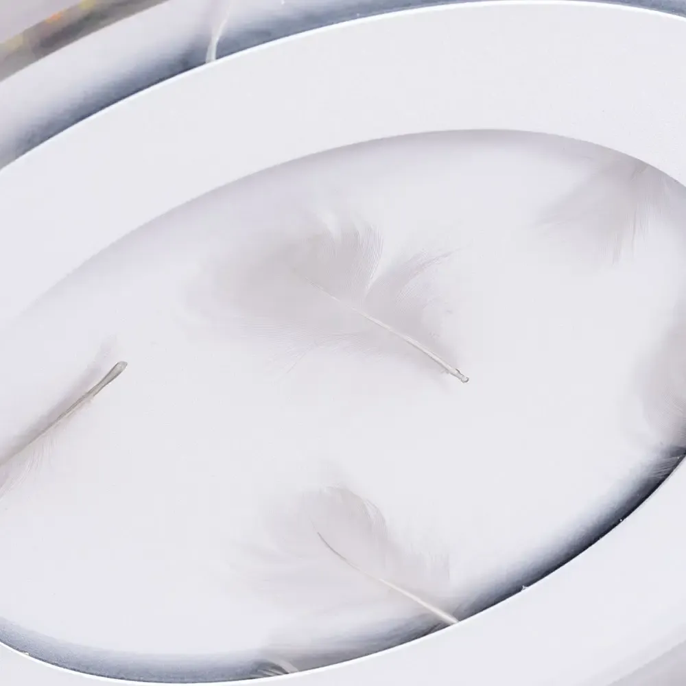 Потолочный светильник Arte Lamp