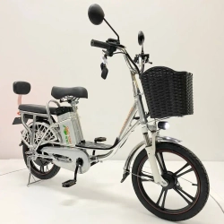 Электровелосипед Green Camel Транк 18 V8 40км