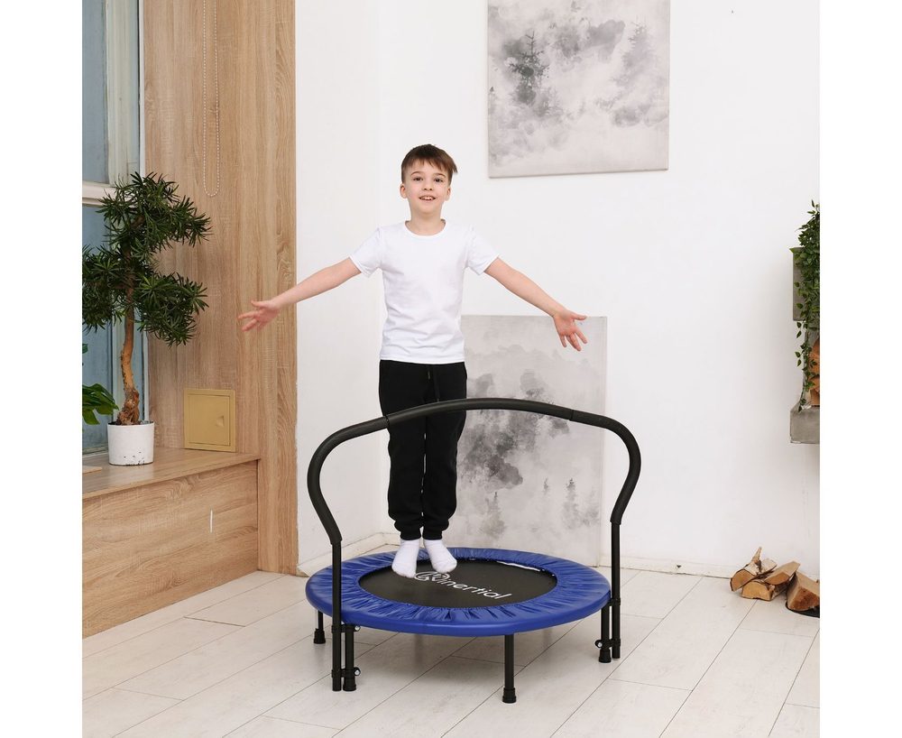 Батут с поручнем DFC JUMPFIT 36'' синий