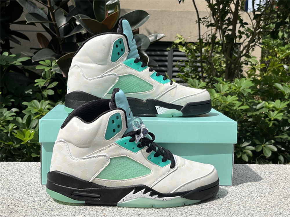 Air Jordan 5 CN2932-100