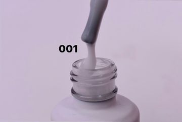 Laro nails Intellect base 20g 01