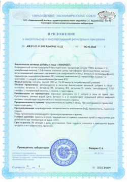 IMMUNGET® Иммунгет №15, для иммунитета