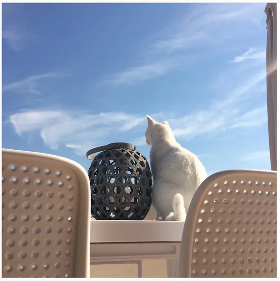 Стул Bora Bistrot белый