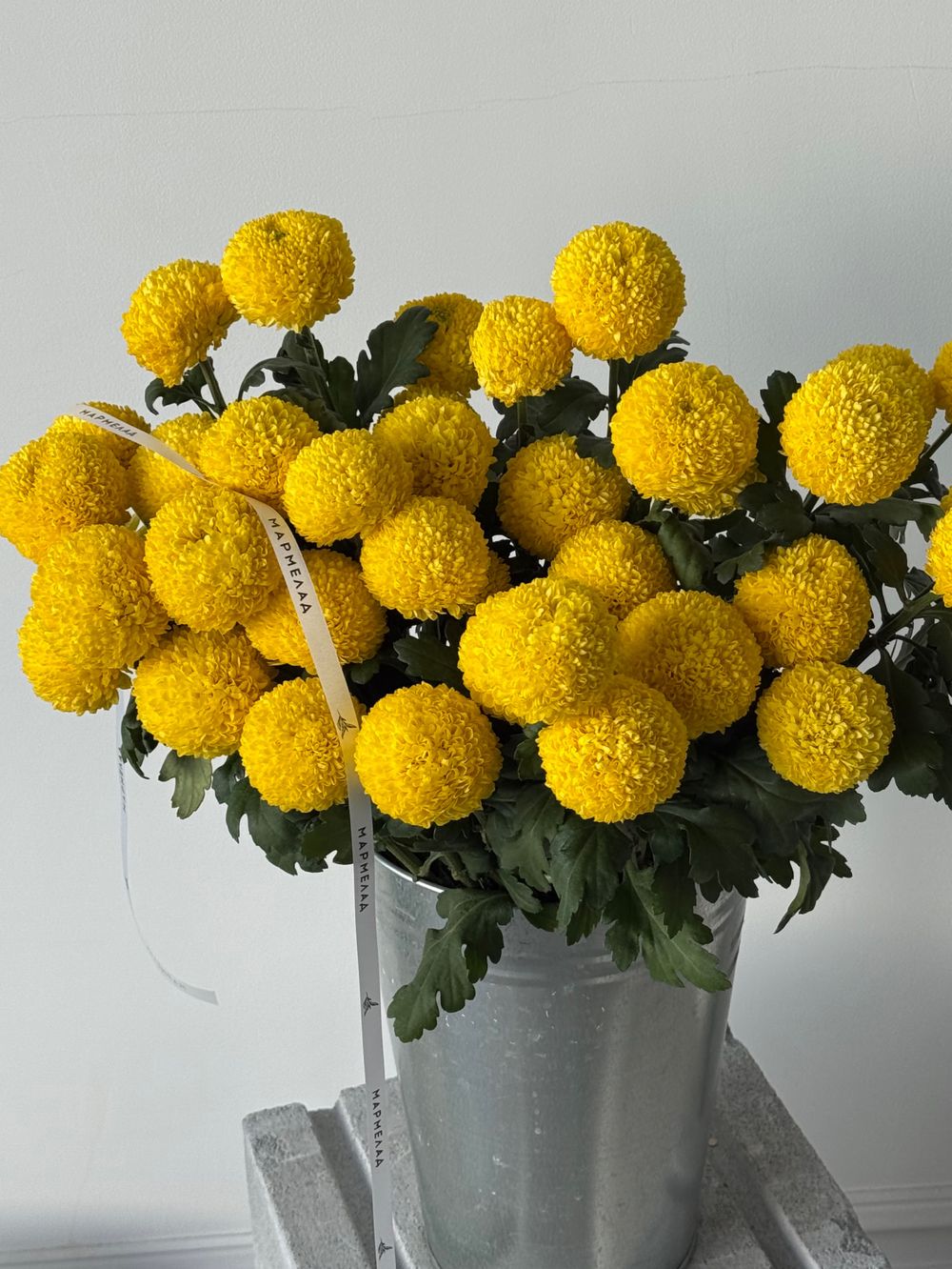 Хризантема в желтом оттенке