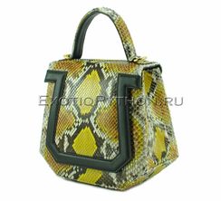 Сумка из кожи питона BG-300