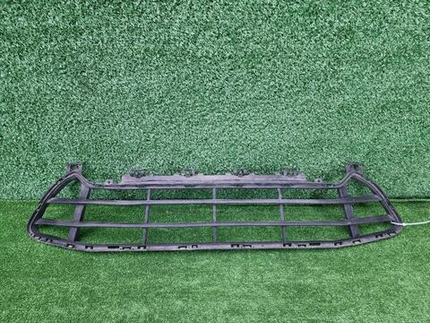 Решетка переднего бампера BMW X1 F48 (2019-2022)