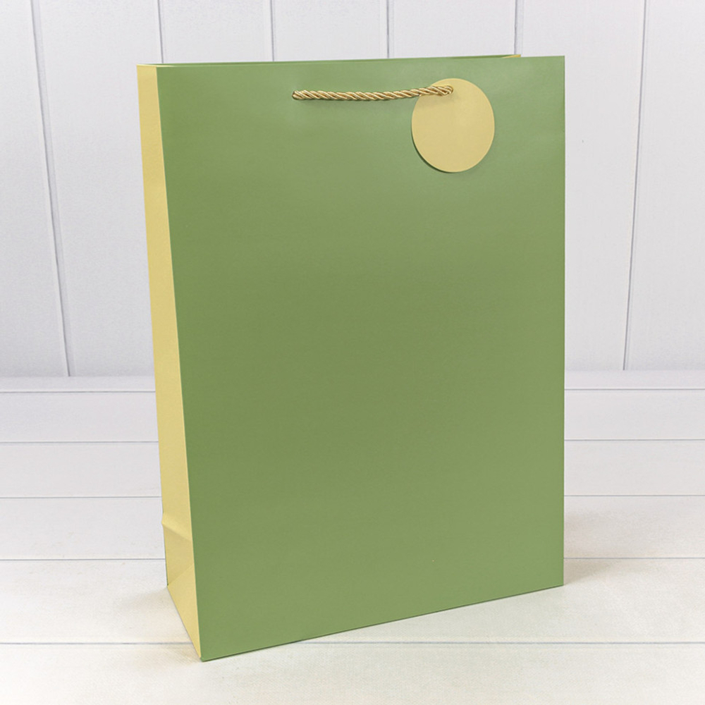Пакет подарочный 30х41.5х12см Премиум (Зеленый)