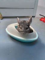 Песок для купания шиншилл Mr.Alex Chinchilla Dust Bath