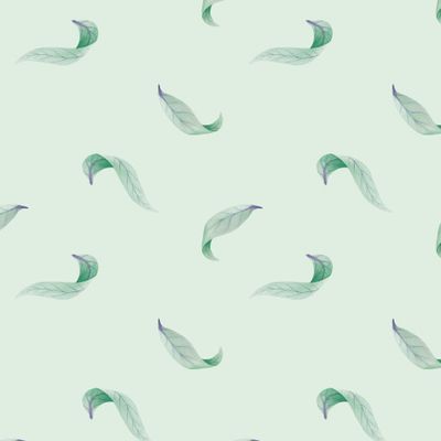 Мятный лист окотеи. A mint leaf of okotea