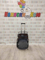 Коляска прогулочная Baballo Future 2024 серая (белая рама)