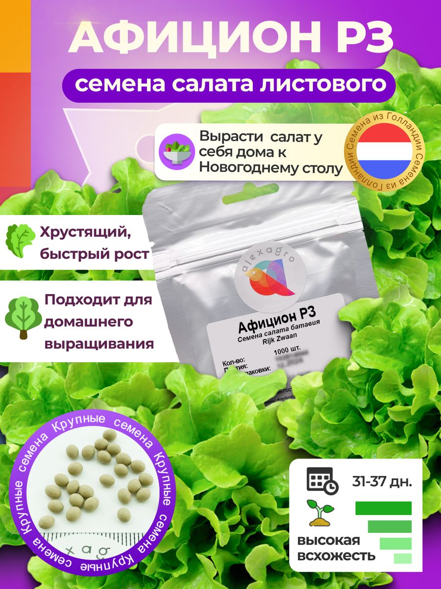 Салат «Афицион» от Райк Цваан: профессиональный подход к выращиванию премиального листового салата.