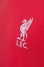 Футболка adidas Liverpool FC 25/26 Tee Junior - красный