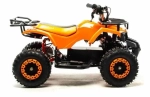 Электроквадроцикл Motoland ATV E009 1000W
