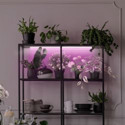 Светильник для растений, фитолампа светодиодная линейная ЭРА LLED-05-T5-FITO-14W-W розового свечения 14 Вт