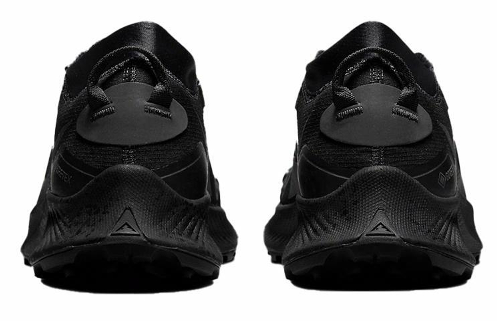 Кроссовки Nike Pegasus Trail 3 Gore-Tex "Black"