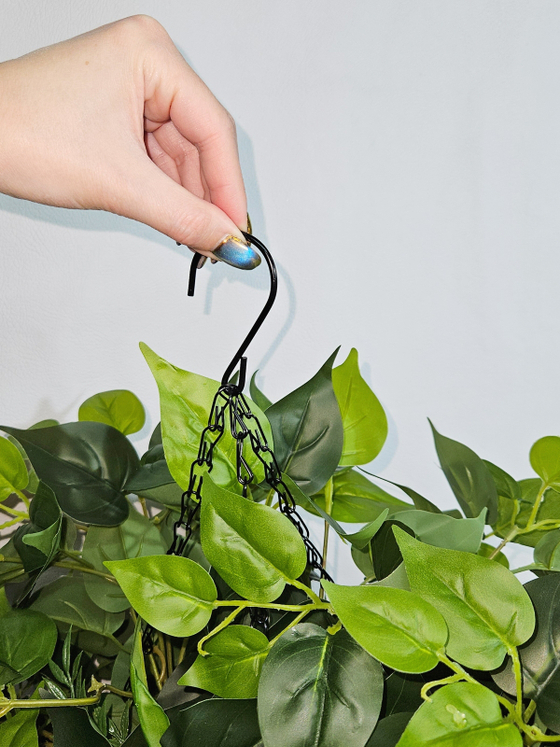 Филодендрон с зеленью в подвесном кашпо