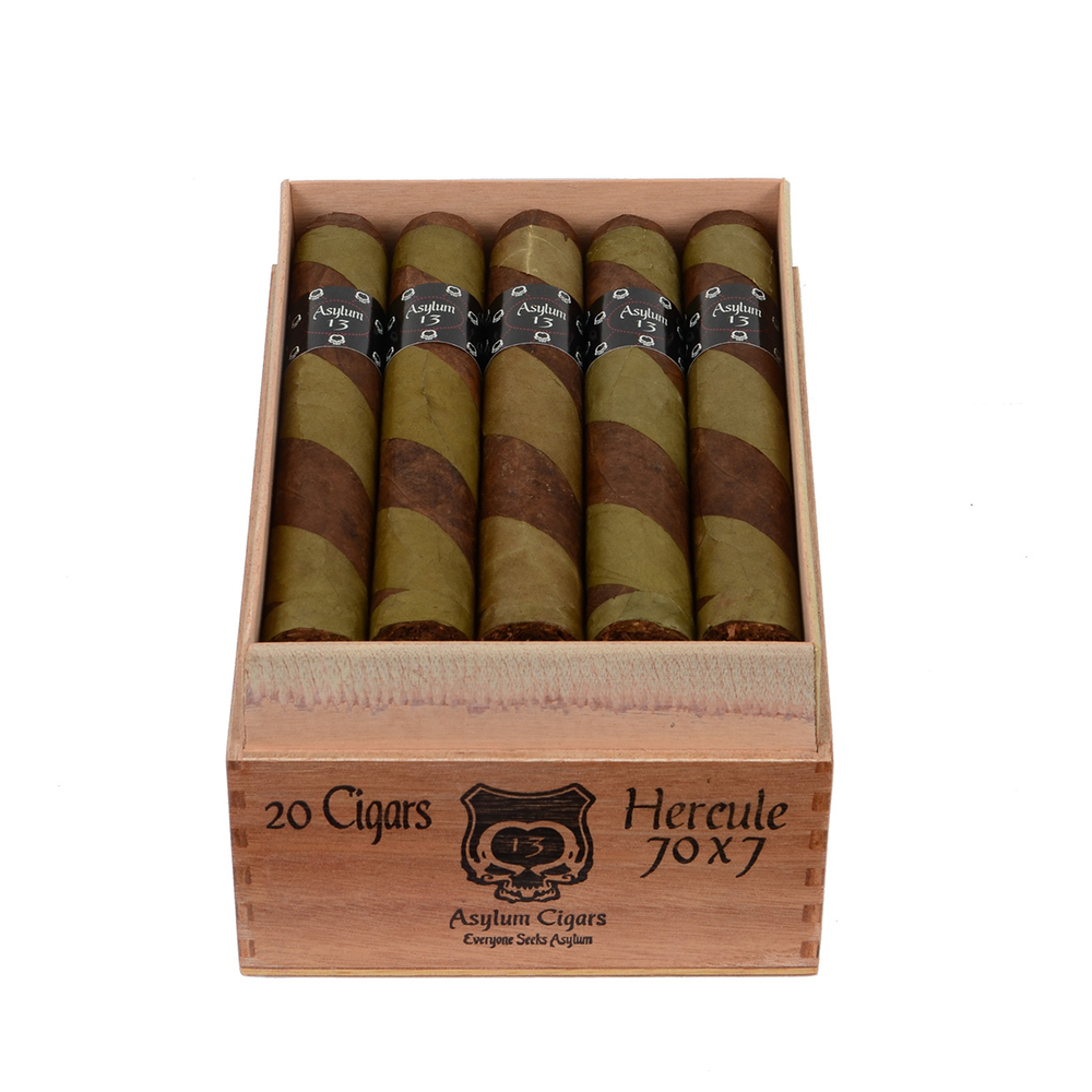 Asylum 13 The Ogre Hercule