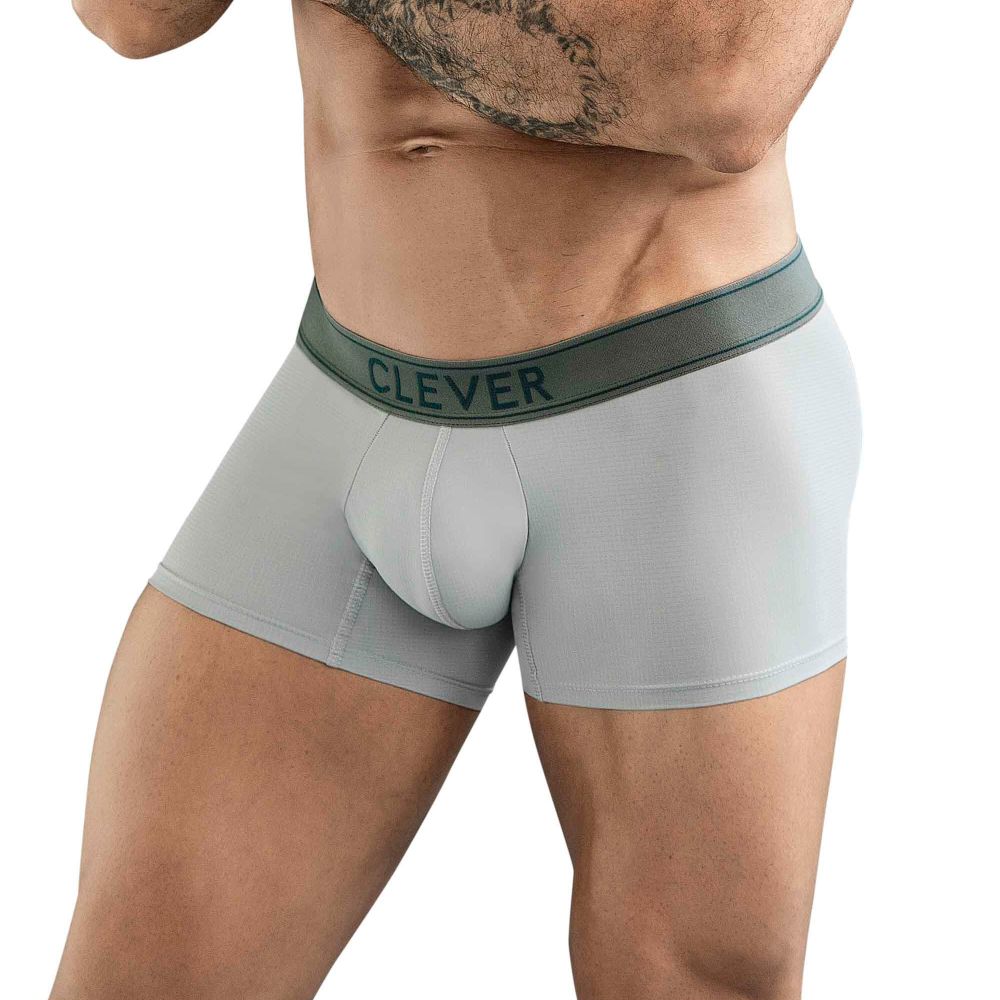 Мужские трусы хипсы серые Clever BERNA TRUNKS 178412