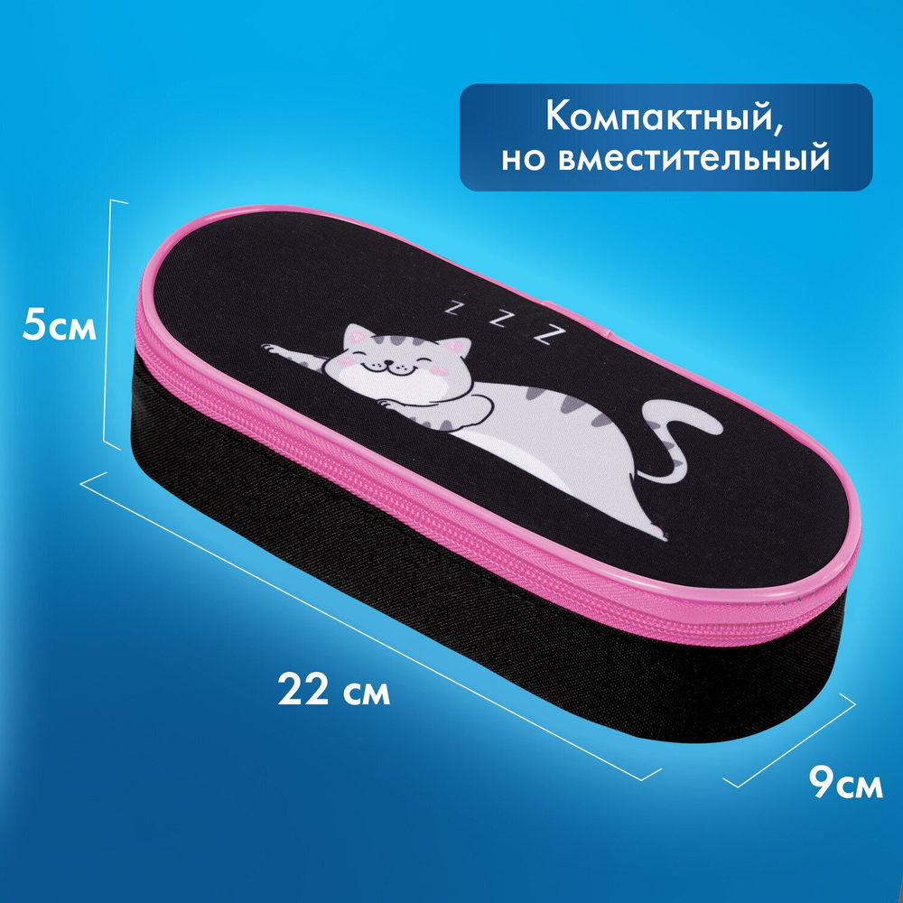 Пенал-футляр BRAUBERG 1 отделение органайзер полиэстер 22x9х5 см "Don't wake up" (2 штуки в упаковке)