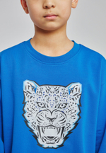 Свитшот детский BARYS BLUE