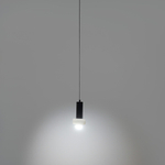 Светильник подвесной fungus, D15х25 см, белый/черный