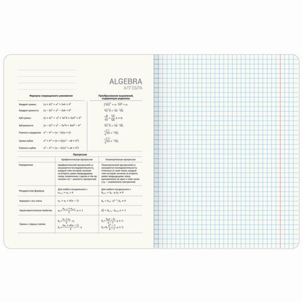 Тетради предметные, КОМПЛЕКТ 12 ПРЕДМЕТОВ, 48 л., TWIN лак, BRAUBERG "ДАТЫ", 405173