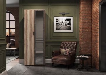 НЕЛЬСОН ШК 04 ШкафФасад ЖЕЛЕЗНЫЙ КАМЕНЬ/Корпус ДУБ КАНЬОН