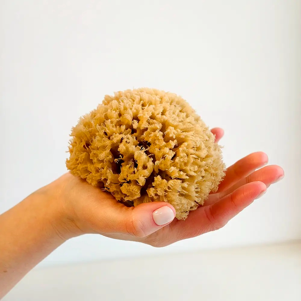 Губка морская неотбеленная Honeycomb 10-12 см "Georgios Karachalios", 1 шт