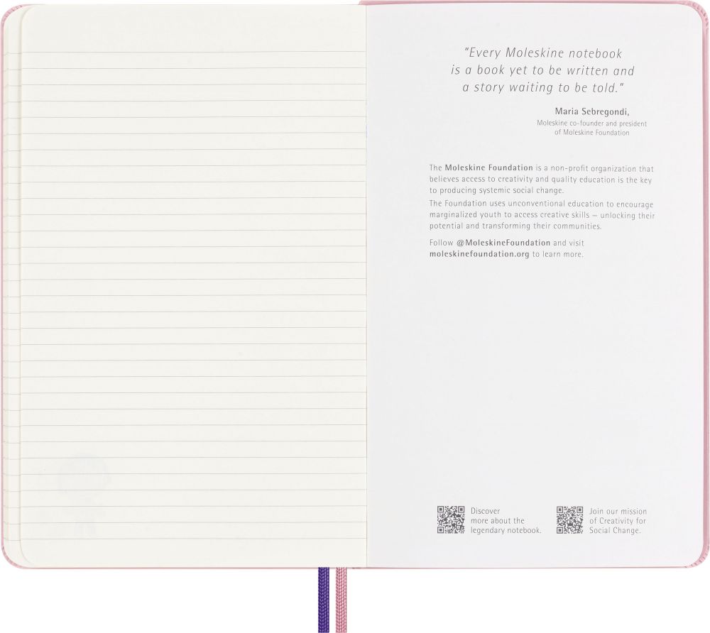 Блокнот Moleskine Limited Edition Momoko Sakura (LESU07QP060NB) 5