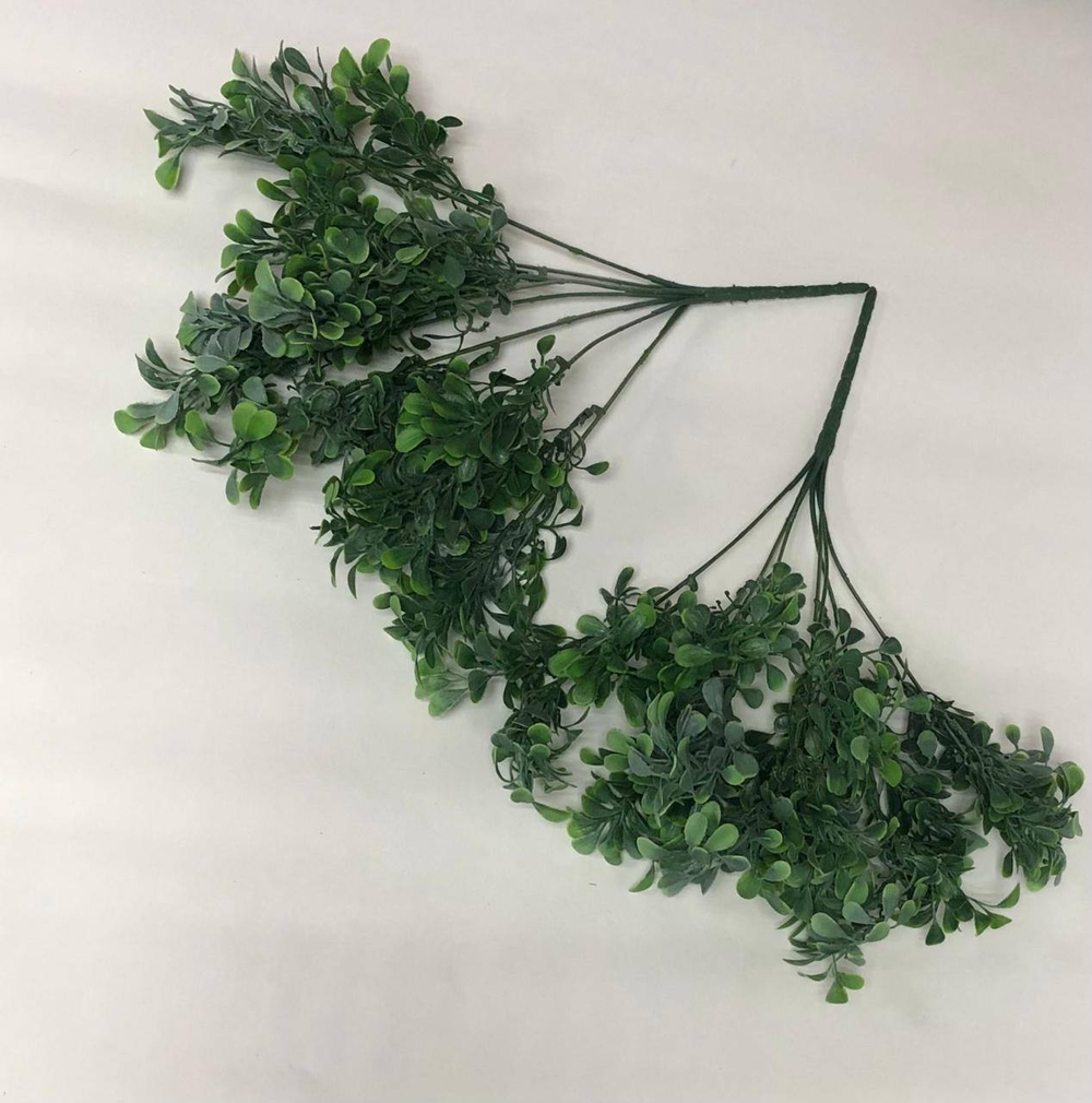 Самшит с напылением